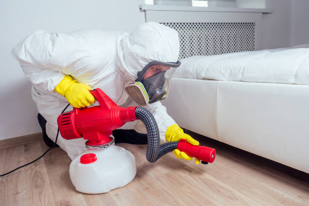Best Bed Bug Extermination  in Chester, MD