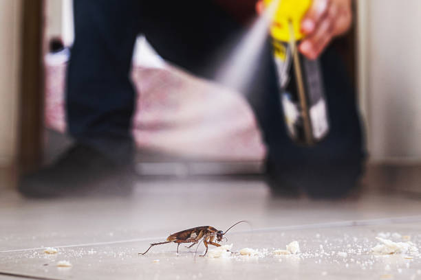 Best Emergency Pest Control  in Chester, MD