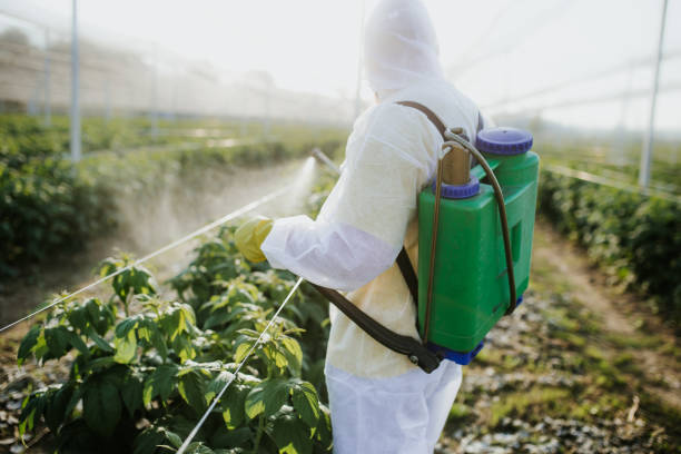 Best Residential Pest Control  in Chester, MD